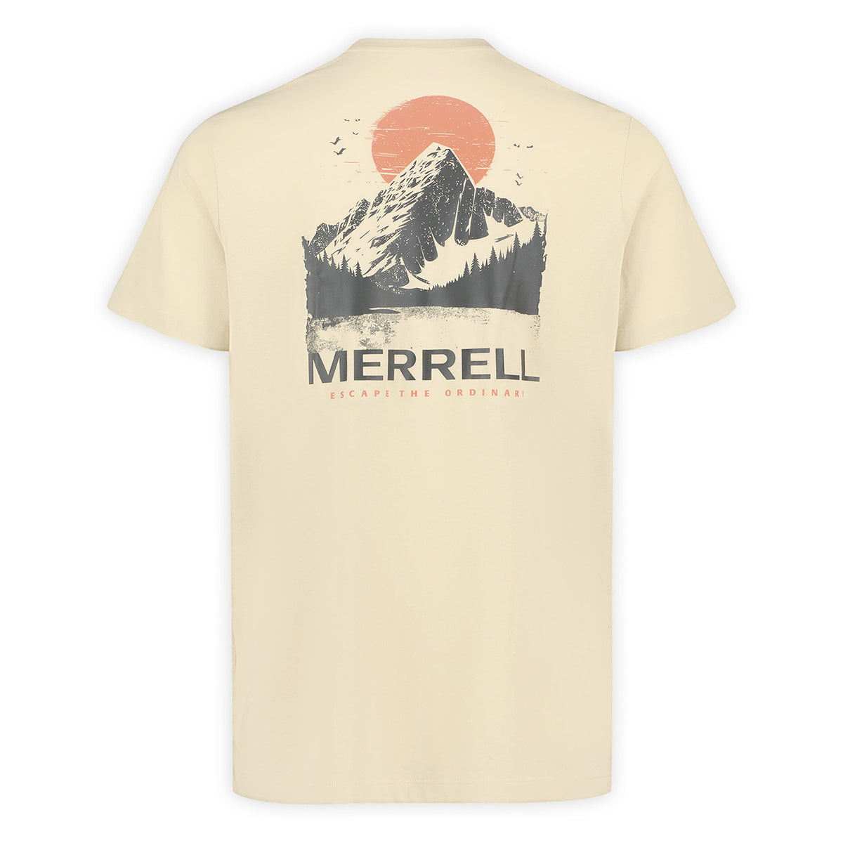 Camiseta View-T Hombre 4